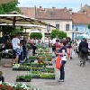 Írottkő Kőszeg - a háromcsillagos Hotel Írottkő előtere