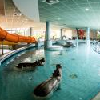 ✔️ Hungarospa Thermal Hotel ✔️ Akció Hungarospa Hotel - 🎄 Karácsony a Hungarospa Thermal Hotelben Hajdúszoboszlón (min. 3 éj) ✔️ Hungarospa Thermal Hotel ✔️ Akció Hungarospa Hotel