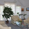 Hotel Platán Székesfehérvár - 3 csillagos szálloda Székesfehérváron 